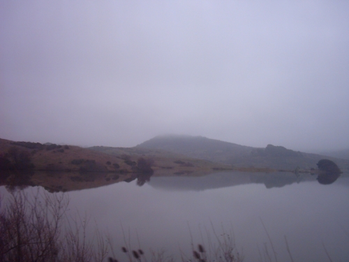  Nicasio Reservoir 