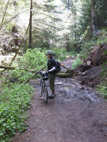  Lower section of Purisima Creek Trail  