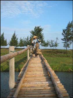 Sa Huynh Woman crossing a bridge