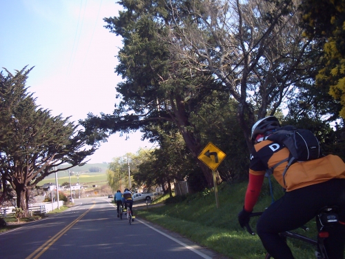 Randonneurs on Hwy 1