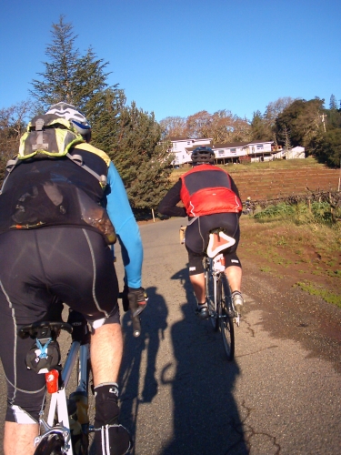   Richard near Healdsburg   