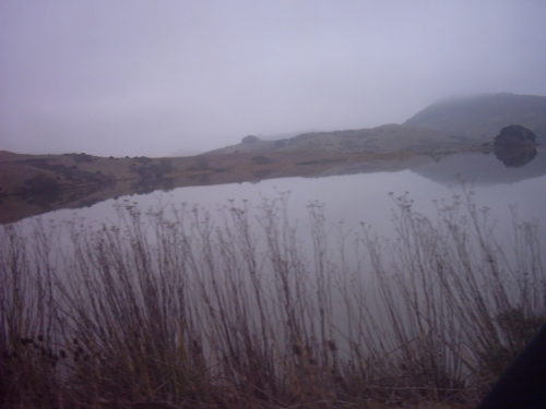  Nicasio Reservoir 