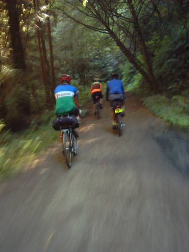  A nice climb, Purisima Creek  