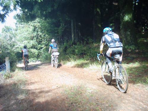  Bolinas Ridge 