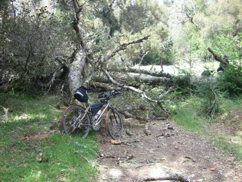  A little obstacle on the trail 