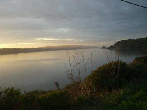  Calmed Tomales Bay 