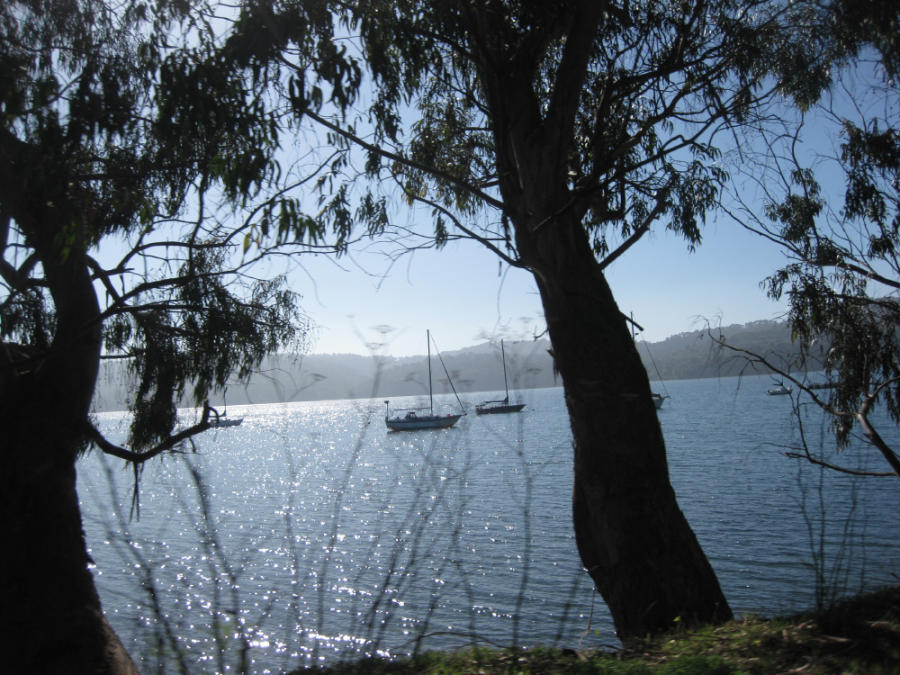   Tomales Bay from Hwy 1  