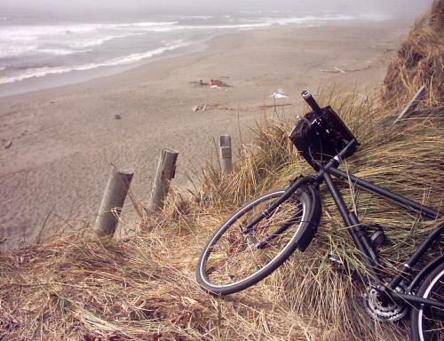 Bodega Dunes beach