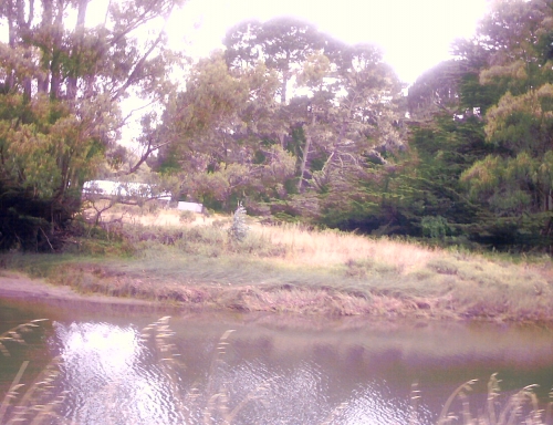 Somewere South of Tomales