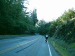 Willie at Bohemian hwy (SF 07' 400k)  » Click to zoom ->